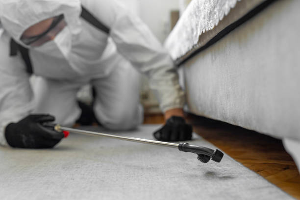 Professional Bed Bug Control technician working in Myrtle Creek, OR